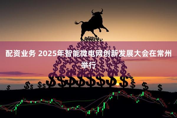 配资业务 2025年智能微电网创新发展大会在常州举行