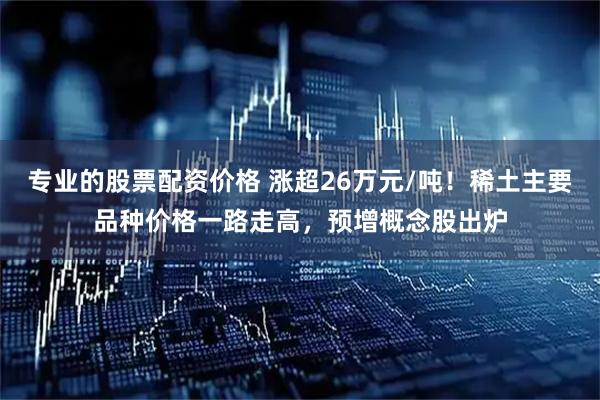 专业的股票配资价格 涨超26万元/吨！稀土主要品种价格一路走高，预增概念股出炉