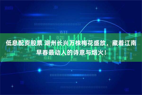 低息配资股票 湖州长兴万株梅花盛放，藏着江南早春最动人的诗意与烟火！